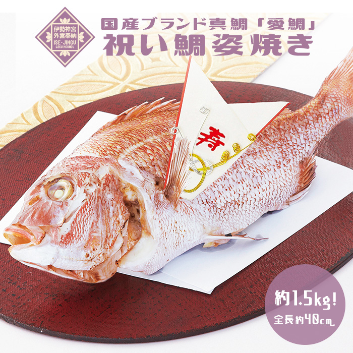 伊勢神宮外宮奉納 祝い鯛姿焼き 最高級ブランド真鯛  ”愛鯛” (約1.5kg)