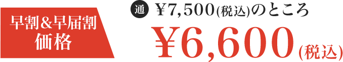6,600円(税込)